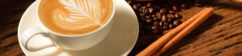 FreeWill: Market Mentorship